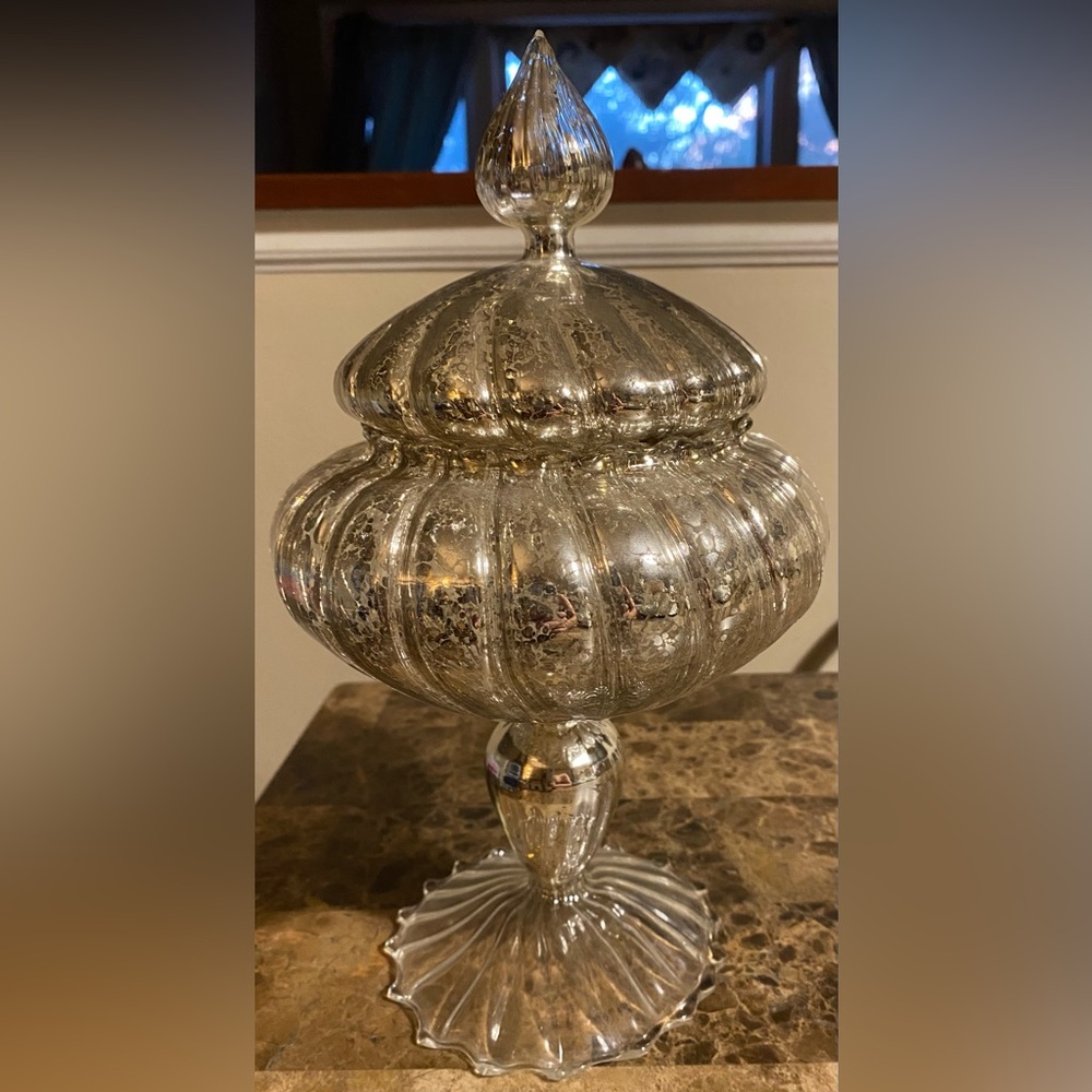 Elegant Silver Decorative Jar